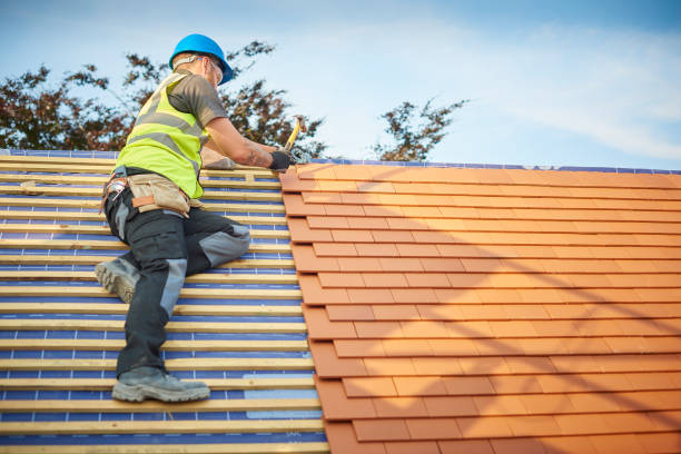 Best Roof Ventilation Installation  in Riverside, AL